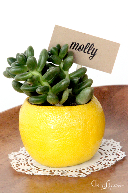 DIY-lemon-planter-place-cards-cherylstyle