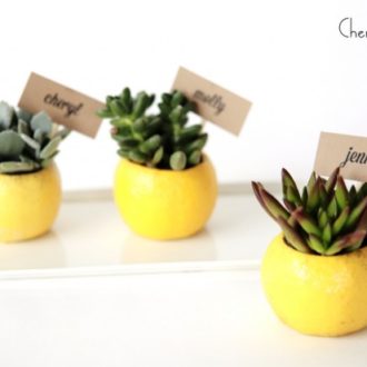 Some DIY lemon place cards with succulents.