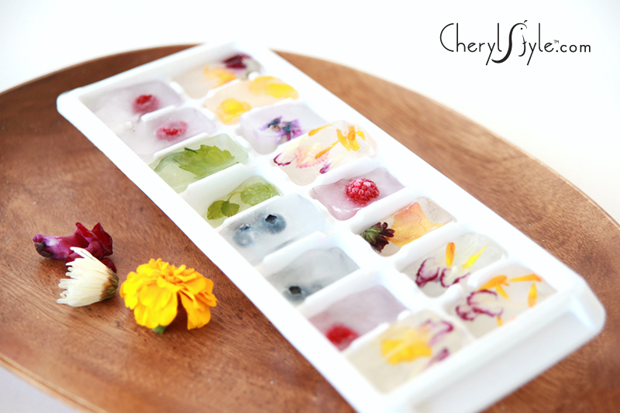 Some frozen ice cubes made with edible flowers.