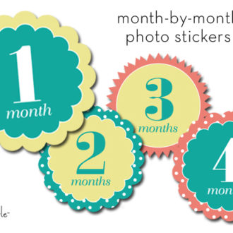 Some DIY printable monthly onesie stickers.