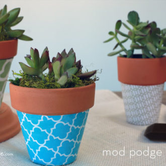 DIY terra cotta pots with succulent plants in them.