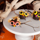 A batch of owl cake pops sitting on a plate.