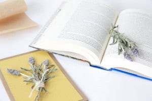 DIY pressed lavender | 6 inspiring ways to use lavender | Everyday Dishes & DIY.com