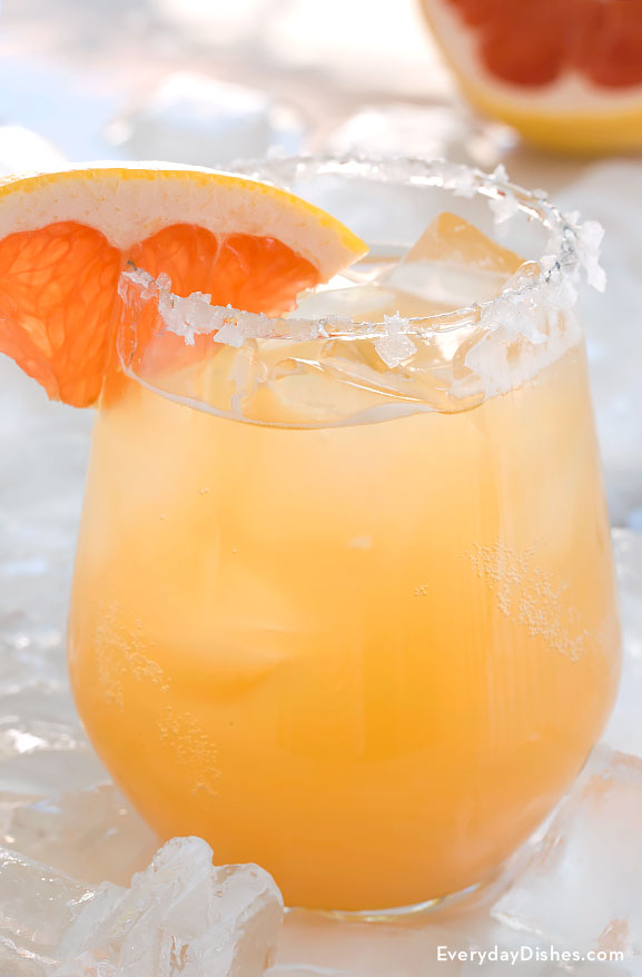 Greyhound grapefruit beer cocktail recipe