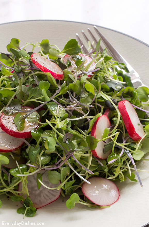 Micro green salad recipe with lime dressing