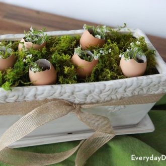 A DIY egg shell seedling centerpiece that's perfect for Easter.