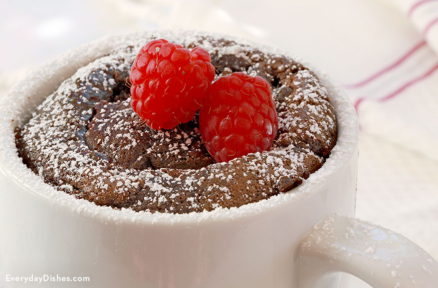5 minute chocolate cake | recipe on Everyday Dishes & DIY.com