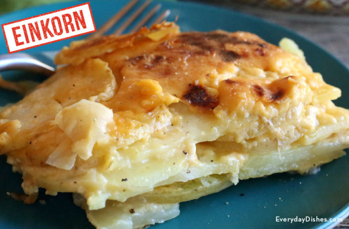 Einkorn cheesy scalloped potatoes recipe