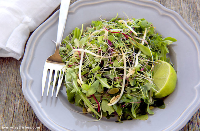 A plate of baby arugula and sprout salad, great for lunch or a light dinner.