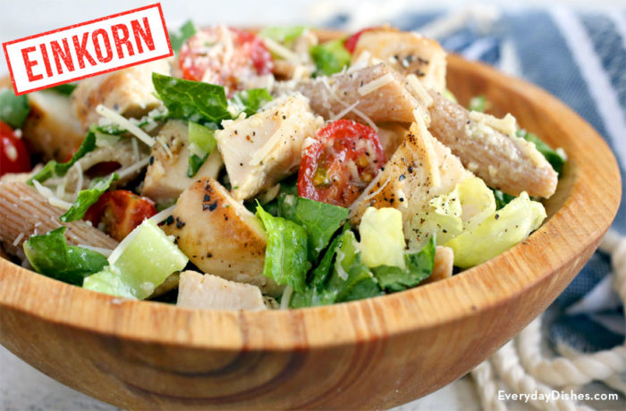 Delicious chicken Caesar pasta salad made with einkorn pasta that's ready for lunch or dinner.