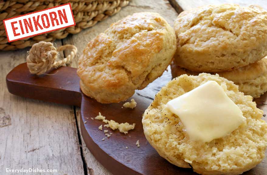 Homemade Einkorn Buttermilk Biscuits Recipe Video