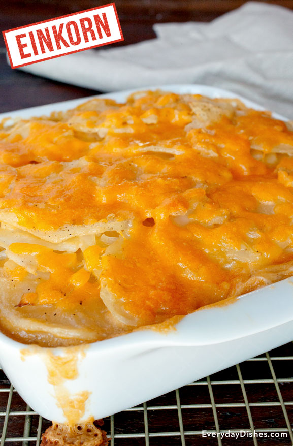 Cheesy potato casserole recipe with einkorn flour