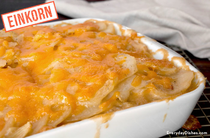 Cheesy potato casserole recipe with einkorn flour
