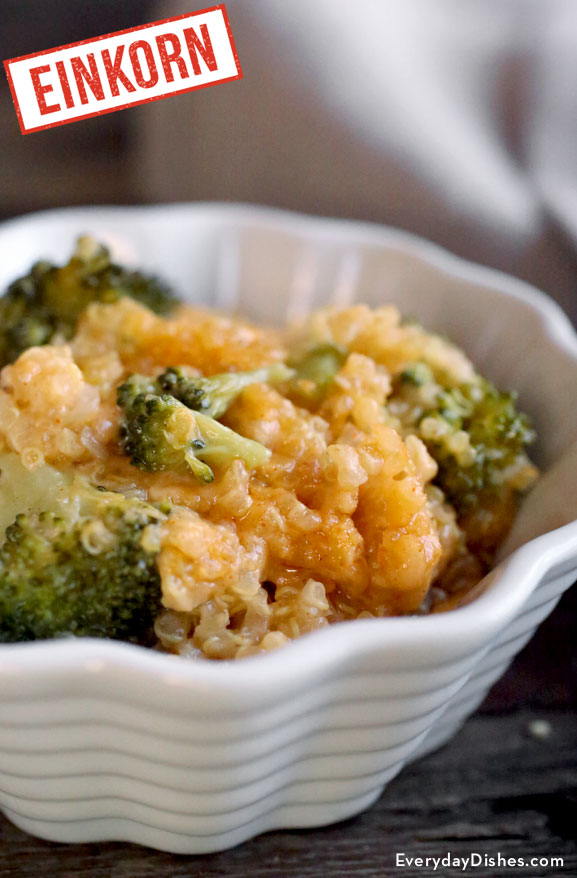 Einkorn cheesy quinoa and broccoli recipe