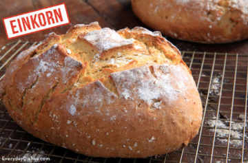Einkorn dutch oven bread recipe