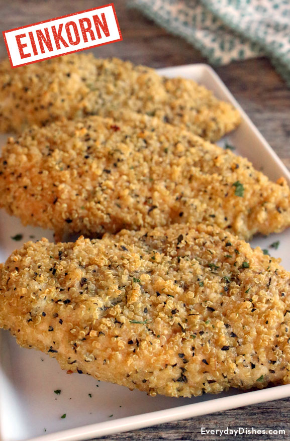 Einkorn quinoa-crusted baked chicken recipe