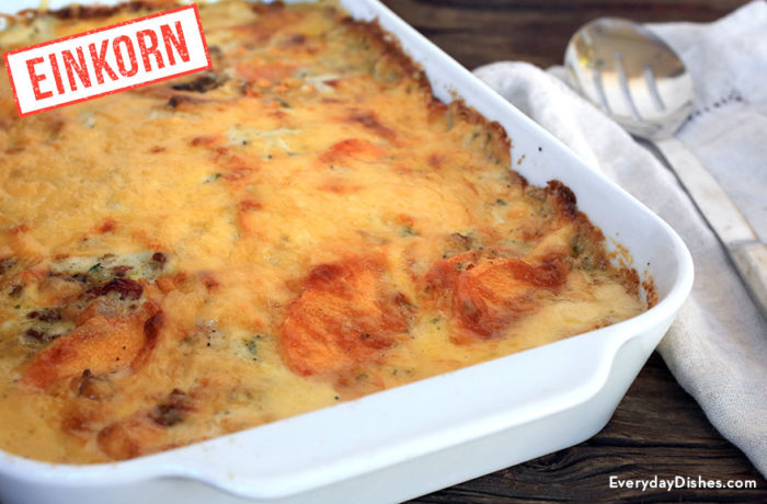 Einkorn sweet potato gratin that's in a dish and ready to be served as a side.