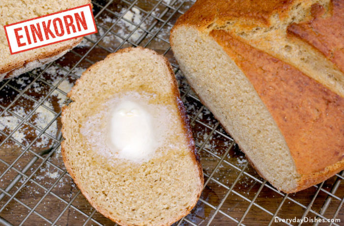 Einkorn whole wheat Dutch oven bread recipe