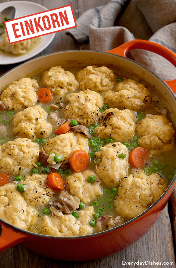 Chicken and dumplings with einkorn biscuits recipe video