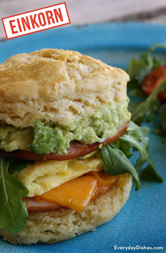Einkorn biscuit breakfast sandwich recipe