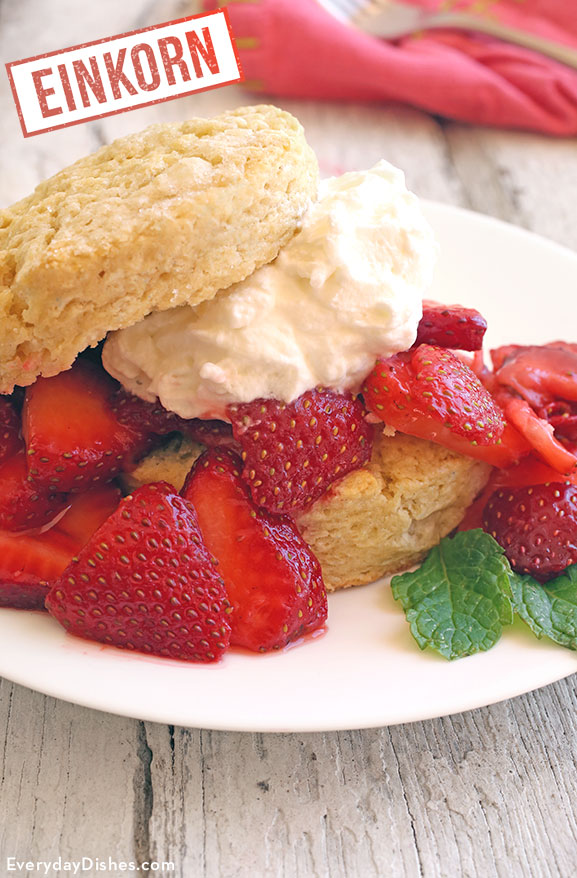 Einkorn strawberry shortcake recipe