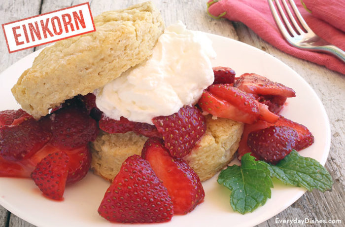 A delicious, homemade einkorn strawberry shortcake.