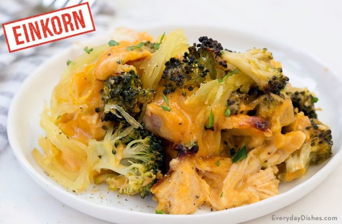 A plate of delicious einkorn spaghetti squash chicken broccoli casserole.