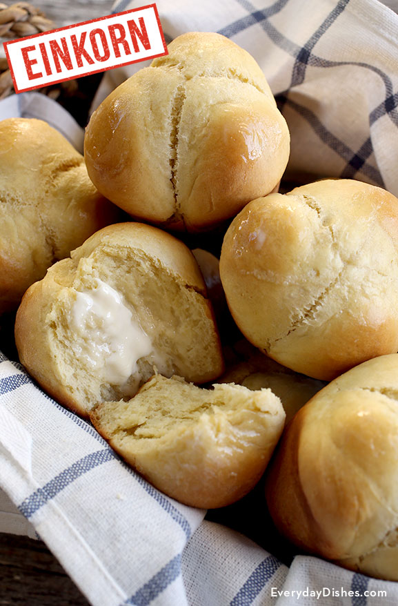 Einkorn clover yeast rolls recipe video