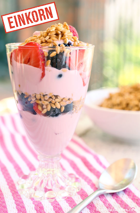 Einkorn wheat berry yogurt parfait recipe video