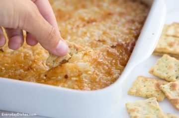 Sweet Vidalia Onion Dip Recipe