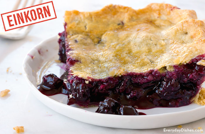 A delicious slice of blueberry slab pie, made with einkorn flour.