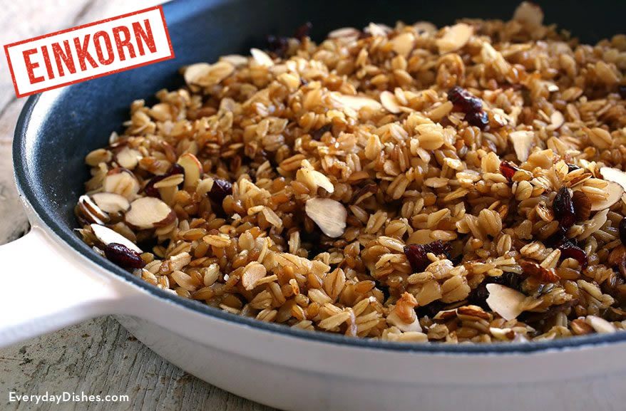 Oatmeal and Einkorn Wheat Berry Breakfast Everyday Dishes