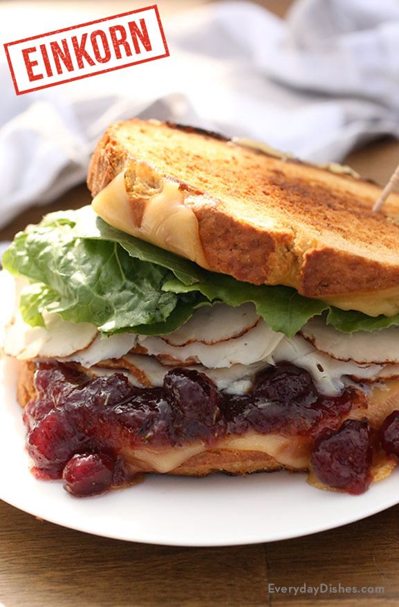 Leftover Turkey Sandwich with Gouda Cheese and Cranberry Sauce Recipe