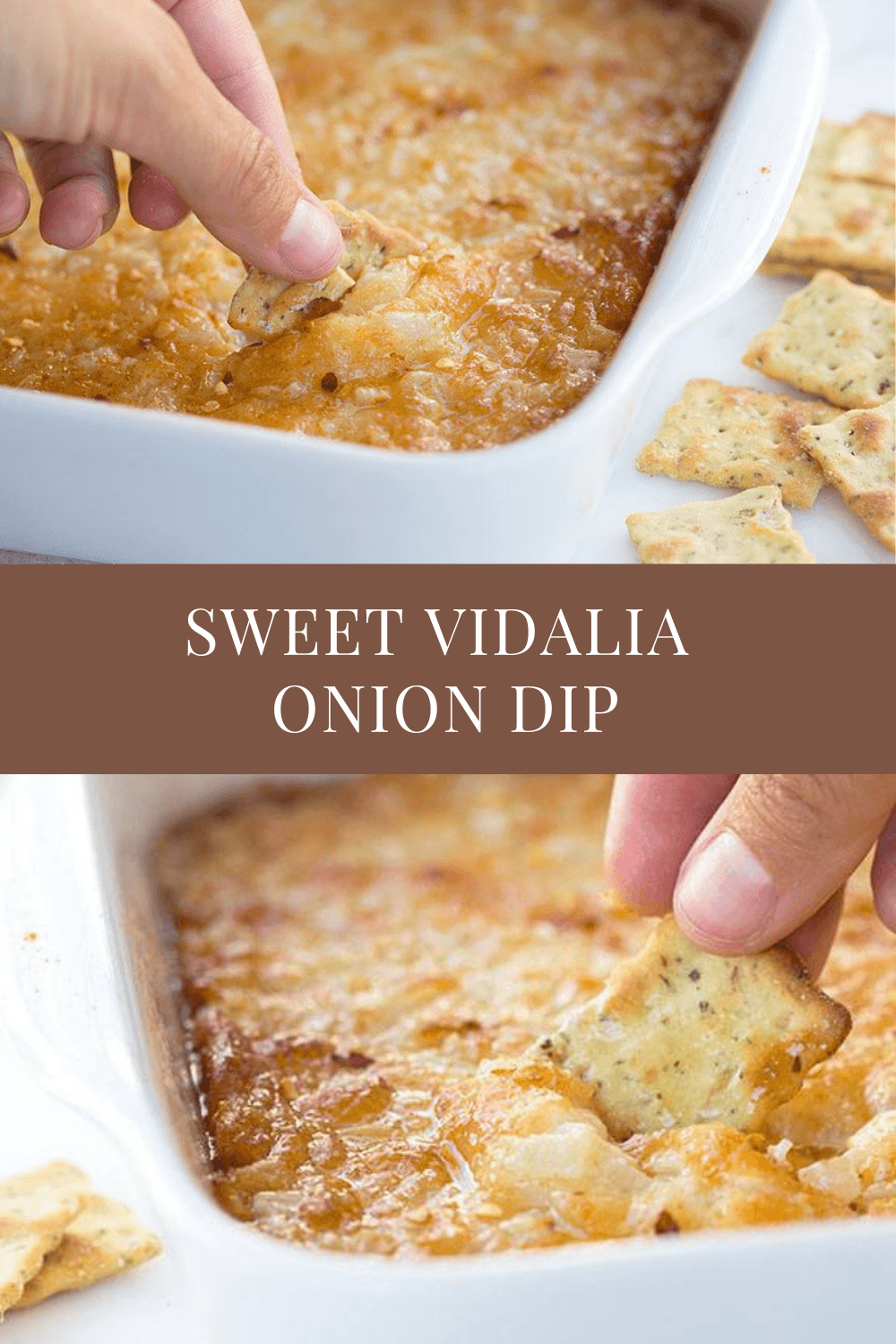 Sweet Vidalia Onion Dip Recipe