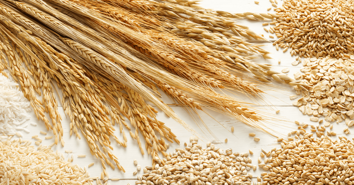 health benefits of whole wheat