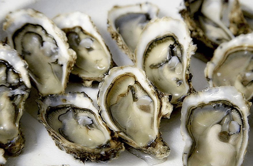 Sources of Omega-3s oysters