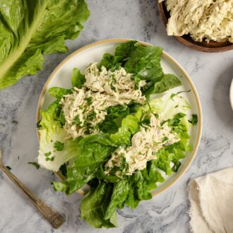 high protein recipes with greek yogurt